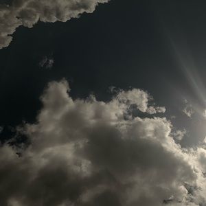 Meet your Posher, Ella